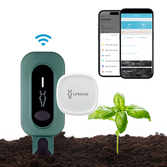 Embrace Spring 2025: Integrating Modern Garden Trends and Springs Thriving Plants