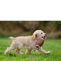 NIJITAG Pet Tracker with Paw Print Leather Case